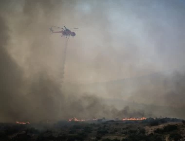 Πυρκαγιά ξέσπασε σε δασική έκταση στη Μάνη